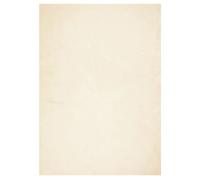 Rug Short Pile Soft and Washable Floor Mat Area HUARTE Cream vidaXL