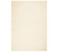 Rug Short Pile Soft and Washable Floor Mat Area HUARTE Cream vidaXL