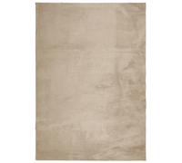 Rug Short Pile Soft and Washable Floor Mat Area HUARTE Sand vidaXL