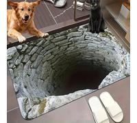 Rug That Looks Like a Hole, 3D Hole Illusion Rug with Anti-Slip Particles, Dog Gets Scared of 3D Hole Carpet, for Door Entrance, Bathroom, Stairs, Playroom, Living Room, Area Decoration (A(50*80cm))