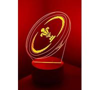 Rugby Ireland Wales England Irish Provinces LED Night Light for Kids, 3D Illusion Night Lamp, 16 Colors Changing with Remote Control, Room Decor, Gifts for Children (Wales -Black Base)