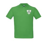 Rugby Kids Polo Shirt Personalised Embroidered Ireland Eire Classic Vintage Style in Green with Short Sleeves Best Gift for Unisex Kids (13/14 Years)