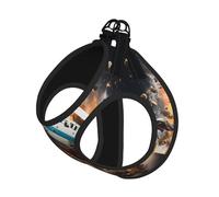 Rugby on Fire Print Soft Pet Harness and Leash Set, Adjustable Mesh Puppy Vest Harness for Small Large Large Dogs and Cats