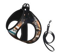 Rugby on Fire Print Soft Pet Harness and Leash Set, Adjustable Mesh Puppy Vest Harness for Small Large Large Dogs and Cats