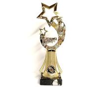 Rugby Player of the Match Gold Trophy Award 250mm man of the match award Free Engraving-CL