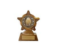 Rugby Trophy Award Premier Star Antique Gold 120mm Heavy Resin Rugby Ball Free Engraving -troshow1-ik-trd