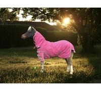 Ruggles 100g Combo Stable Rug for Shetland, Donkey, Miniatures and small ponies | Lightweight stable Rug with integrated neck cover (Pink, 4' 3")