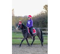 Ruggles Christmas Saddle Pad Set for Horses and Ponies - Festive Santa Saddle Cloth, Hat Cover, Ears Bonnet (Pony)
