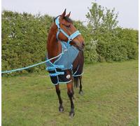 Ruggles Fleece/Mesh Cooler Rug for Horse and Ponies | Ideal for Travel Stable Cooling/drying after Exercise or Bathing - Black/Sky Blue (Black?Sky Blue, 6' 9")