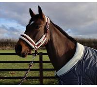 Ruggles Head Collar with Contrast Faux Fur Trim for Horse & Pony | Fully Adjustable | Smart Durable Comfortable | Ideal for Shows Travel and Everyday Use (Pony, Burgundy)