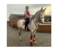 Ruggles Hi Viz Leg/Arm Band, High Visibility Leg Wraps for Horse and Pony (Set of 4) (Orange, Small)