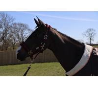 Ruggles Horse and Pony Head Collar With Matching Faux Fur Trim | Durable, Comfortable and Adjustable | Ideal for Travel, Shows, Competitions and everyday use (Burgundy, Full)