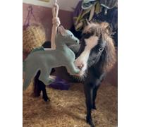 Ruggles Horse Stable Toy | Boredom buster for horse pony donkey (Dinosaur)