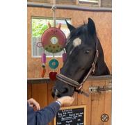 Ruggles Horse Stable Toy | Boredom buster for horse pony donkey (Multi Ring)