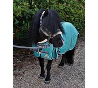 Ruggles Lightweight 50g Stable Rug for Shetland Section A Donkey Miniature Horse | Smart Versatile Rug Perfect for Warmer Days or as an Under Layer (Teal, 3')