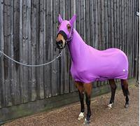 Ruggles Lycra Body Suit for Horse/Pony | Detachable Tail Sleeve | Stretch Under Rug | Ideal for helping to Keep Horse Clean and Plaits in Place (Large - With Ears, Purple)