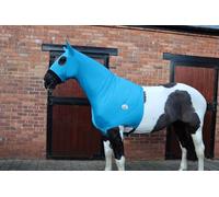 Ruggles Lycra Hood for Horses and Ponies, Chin to Chest Zip, Four way stretch Nylon Lycra, Available With or Without Ears (Teal, Extra Extra Large With Ears)