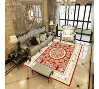 RUGMRZ Extra Long Runner Rugs For Hallway Large Living Room Fluffy Bedroom Carpet Carpets 50x80CM Comfortable red Vintage Style Geometric Rules Sofa