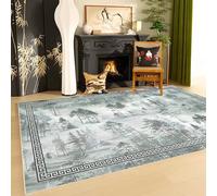RUGMRZ Non Slip Living Room Rug 80x160cm,Slate Blue Indoor Door Mat,Chinese Style for Chair,Outside,Back Door