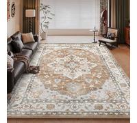 RUGMRZ Soft Vintage Rugs for Living Room 40x60cm,Light Orange Internal Door Mat,Classical Geometry for Internal,Chair,Bedroom
