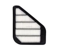 Rugnipw Car Air Filter For GMC For Acadia 2007-2016 Car Cabin Air Conditioning Fliter Engine Air Filter 15278634 20958479 Engine Air Filters(Engine air filter)