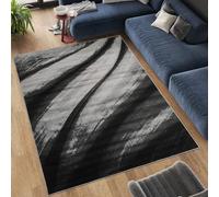 Rugs for Living Room with Large Heavy Duty, Non-Slip and Washable, Geometric Non-Shed Low Pile Bedroom Decor, Kitchen and Hallway Anti slip Black Grey Rug