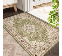 Rugs Inn Rome Door Mats - Super Soft Washable Kitchen Mats Indoor - Vintage Design Door Mat for Back & Front Door Entrance Small Floor Mat (Green, 60 x 110 cm)