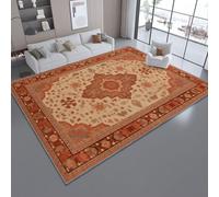 Rugs Living Room 120 x 160 cm - Retro Persian Style Lines Patterns Printed Washable Antiskid Rug Carpets for Bedroom Dorm Nursery Kids Room Office Lounge Home Decor, Reddish Brown