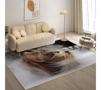 Rugs Living Room 120x180cm - Indoor Area Rug with Low Pile - Anti-Slip Backing Door Mat， Lhasa Apso Washable Rugs， Kid Pet Friendly Carpet Rug Non-Shedding Pets