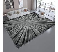 Rugs Living Room, 140 x 200 cm Non-Slip Backing, on-Shedding Retro Radiating Lines for Bedroom, Hallway Dining Room Kitchen Office Dark Gray