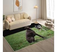 Rugs Living Room 160x230cm - Indoor Area Rug with Low Pile - Anti-Slip Backing Door Mat, Doberman Pinscher Washable Rugs, Kid Pet Friendly Carpet Rug Non-Shedding Pets