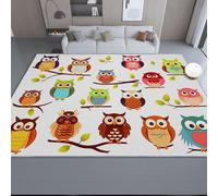 Rugs Living Room 60 x 90 cm - Cute Cartoon Owl Illustration Patterns Printed Washable Antiskid Rug Carpets for Bedroom Dorm Nursery Kids Room Office Lounge Home Decor, Colorful