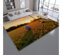 Rugs Living Room, Colorful Area Rugs for Bedroom Non Slip - Sports Golf Sunset Rug Super Soft Small Thick Pile Non-Shedding Plush Carpet for Lounge 140 x 200 cm