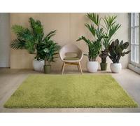 Rugs Living Room Large Rug Bedroom Carpet Slip Mat Hallway Floor Non Runner Kitchen Fluffy Shaggy Soft Anti 5 cm Pile Thick Soft Luxurious Shaggy Modern Area Bedroom (Green, 80 x 150 cm)