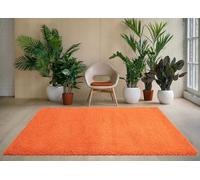 Rugs Living Room Large Rug Bedroom Carpet Slip Mat Hallway Floor Non Runner Kitchen Fluffy Shaggy Soft Anti 5 cm Pile Thick Soft Luxurious Shaggy Modern Area Bedroom (Orange, 80 x 150 cm)