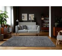 Rugs Living Room Large Rug Bedroom Carpet Slip Mat Hallway Floor Non Runner Kitchen Fluffy Shaggy Soft Anti 5 cm Pile Thick Soft Luxurious Shaggy Modern Area Bedroom (Dark Grey, 160 x 230 cm)