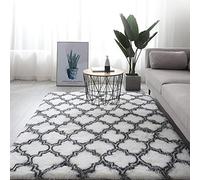 Rugs Living Room Super Fluffy Soft Touch Rug Thickened Washable Bottom Anti-Skid Large Area Rugs Indoor Modern Home Decor Floor Carper with 8 free anti slip stickers