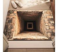 Rugs That Look Like a Hole, 3D Carpet Bottomless Hole Optical Illusion Area Mat, Dog Gets Scared of 3D Hole Carpet, Optical Illusion Rugs for Door Entrance, Bathroom, Living Room (C, 60 * 90cm)
