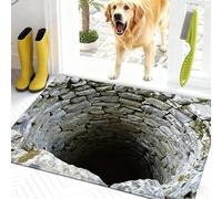 Rugs That Look Like a Hole, Dog Gets Scared of 3D Hole Carpet, 3D Trap Optical Visual Illusion Rugs, Optical Illusion Rug, for Door Entrance, Bathroom, Stairs, Living Room Decor (A,19.6*31.5in)