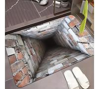 Rugs That Look Like a Hole, Dog Gets Scared of 3D Hole Carpet, 3D Trap Optical Visual Illusion Rugs, Optical Illusion Rug, for Door Entrance, Bathroom, Stairs, Living Room Decor (H,19.6*31.5in)