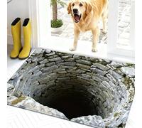 Rugs That Look Like a Hole, Dog Gets Scared of 3D Hole Carpet, Optical Illusion Rugs, 3D Carpet Bottomless Hole Optical Illusion Area Mat, Test & Play with Your Dog or Cat (I-50*80cm(19.7*31.5in))