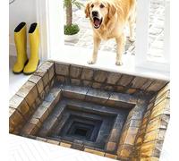Rugs That Look Like a Hole, Dog Gets Scared of 3D Hole Carpet, Optical Illusion Rugs, 3D Carpet Bottomless Hole Optical Illusion Area Mat, Test & Play with Your Dog or Cat (H-60*90cm(23.6*35.4in))
