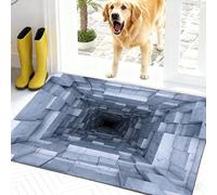 Rugs That Look Like a Hole, Dog Gets Scared of 3D Hole Carpet, Optical Illusion Rugs, 3D Carpet Bottomless Hole Optical Illusion Area Mat, Test & Play with Your Dog or Cat (B-50*80cm(19.7*31.5in))
