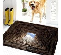Rugs That Look Like a Hole, Dog Gets Scared of 3D Hole Carpet, Optical Illusion Rugs, 3D Carpet Bottomless Hole Optical Illusion Area Mat, Test & Play with Your Dog or Cat (D-60*90cm(23.6*35.4in))