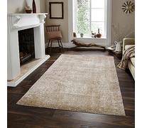 Rugs4Sale 4cm Thick Pile Super Soft Shaggy Modern Area Living Room Pain design Non-Shedding. Ideal For Bedroom, Hall, Kids Baby Room, Indoor & Outdoor Rugs Hallway Runners Carpet Mat(120x170cm)