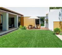 RugsX Artificial Grass Oryzon Rug - 80cm x 200cm