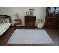 RugsX Micro Shaggy Rug in Grey | Size: 60 cm x 100 cm RUGSX Grey 60 cm x 100 cm