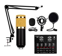 RUHEN Live Multifunctional Live Sound Card,Sound Card Microphone Set Broadcast Metal Microphone Set Adjustable Bracket,12 Background Sound Effects