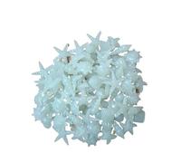 RUHTEUO 50pcs Luminous Stones Colorful Shells Starfish Conch Shaped Luminescent Stone Fluorescent Pebbles Fish Tank Aquarium Decorations for Crafts, Vases Filler(Glow stone White)