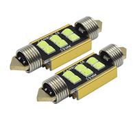 Ruiandsion 2pcs 39mm Festoon LED Bulbs Super Bright 3030 6SMD Chipsets 12V Error Free CANBUS LED Bulb for Car Interior Dome Map Light,Ice Blue